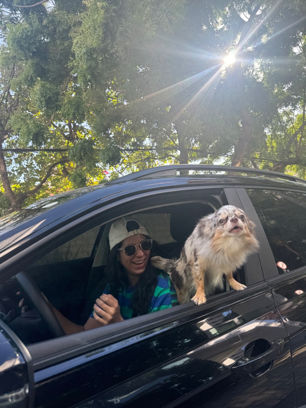 Marina e Lord sem bolas 🚗